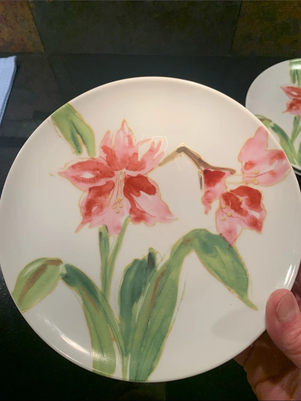Paula Deen amaryllis these